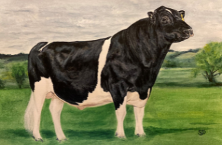 Painting of a bull by Sarah Perkins