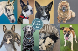 A number of dog pet portraits by Sarah Perkins 