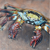 Crab by Sarah Perkins Art