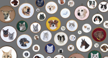 Machine stitched portratis of pets