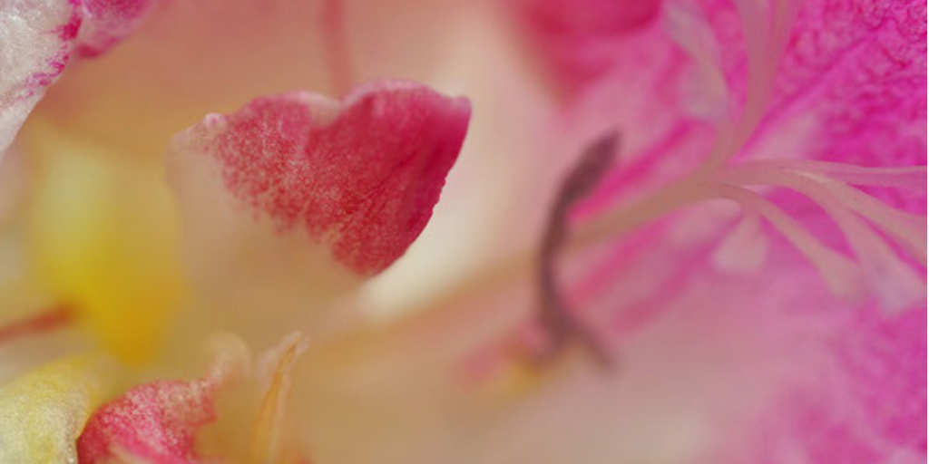 BM Website - Our Community (1)